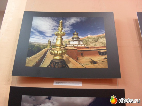 44 ����: 1 ���.