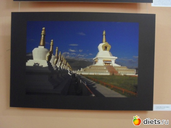 59 ����: 1 ���.