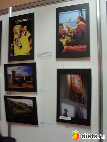 73 ����: 1 ���.