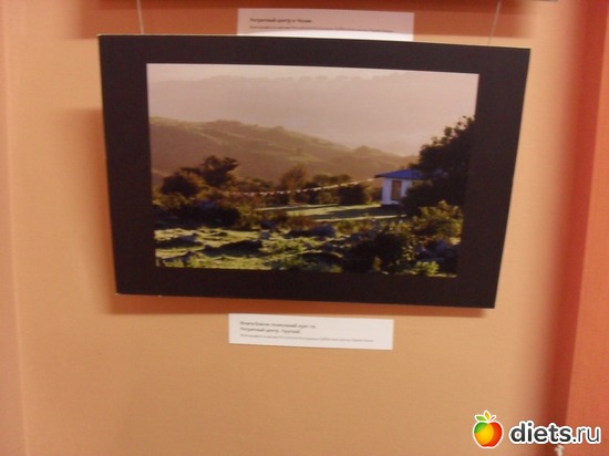 113 ����: 1 ���.