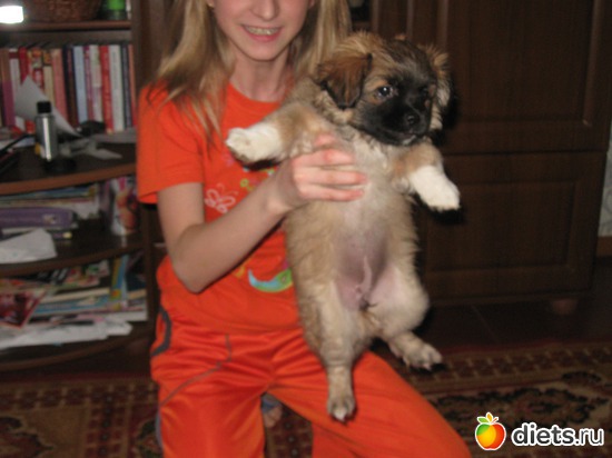 Мои девченки, альбом: Семья