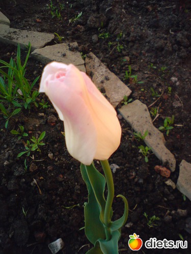 8 фото: весна 2011