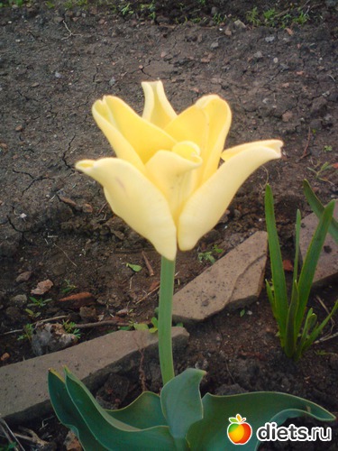 10 фото: весна 2011