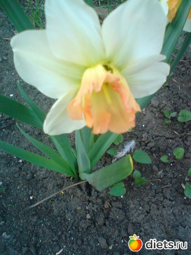 14 фото: весна 2011