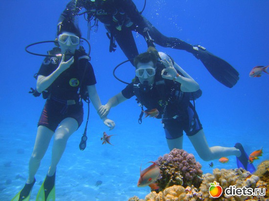 !!!! !   !!!!!, : , / 2011