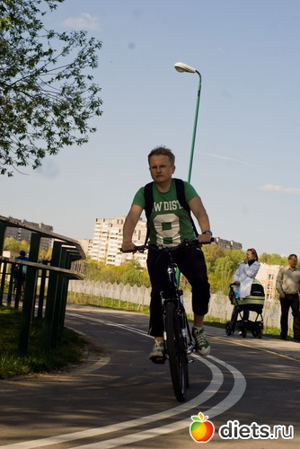 1 ����: ���������.