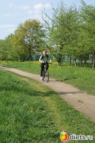 3 ����: ���������.