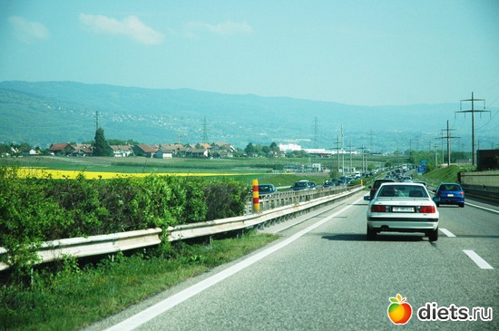 5 ����: ��������� ������ 2011