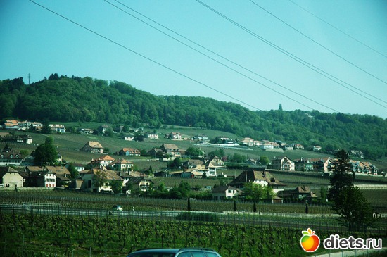 7 ����: ��������� ������ 2011