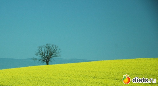 8 ����: ��������� ������ 2011