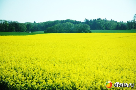 9 ����: ��������� ������ 2011