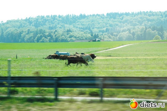 13 ����: ��������� ������ 2011