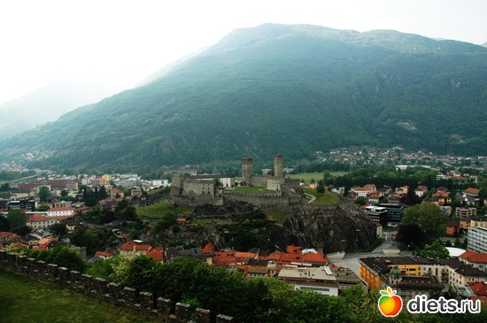 29 ����: ��������� ������ 2011