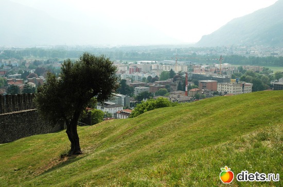 31 ����: ��������� ������ 2011