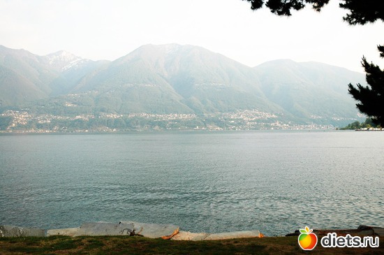 39 ����: ��������� ������ 2011