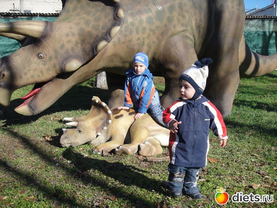 ��� ����� ��� ��� �����������, ������: ��� ���������