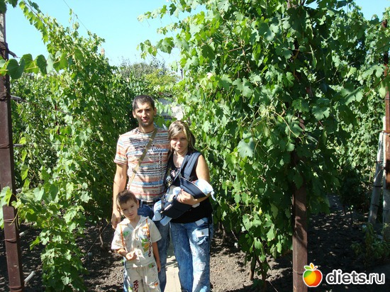 ���� �� ������ �������� ����, ������: ��� ���������