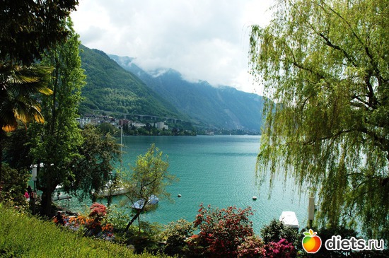 46 ����: ��������� ������ 2011