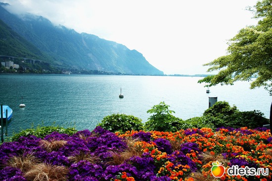 47 ����: ��������� ������ 2011