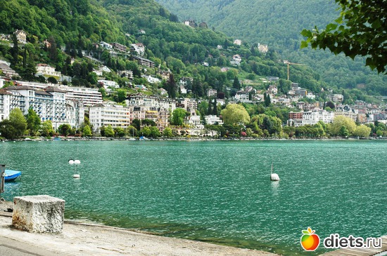 48 ����: ��������� ������ 2011