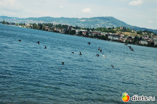 49 ����: ��������� ������ 2011