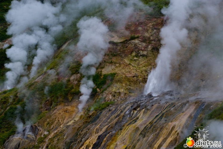 ����� " ���������", ������: ������� �����