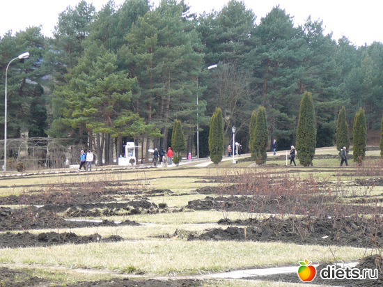 17 ����: ������� �����