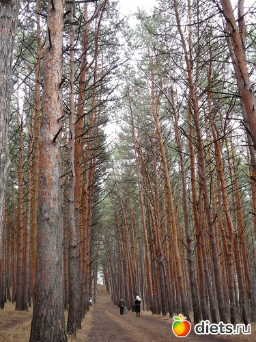 ������� � ����� �����������, ������: ������� �����