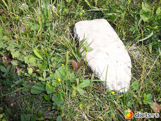 ������� � ������, ������: ������� �����