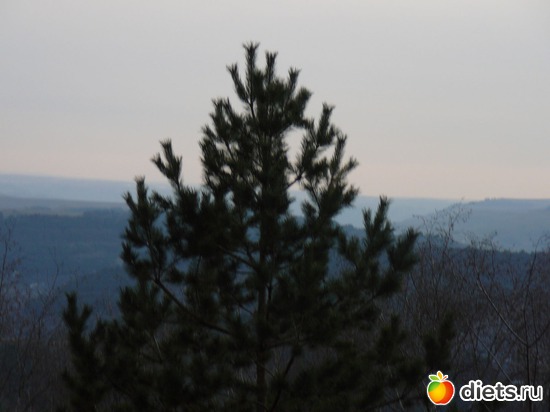 ���� �������, ��� � ���� �� �����������, ������: ������� �����