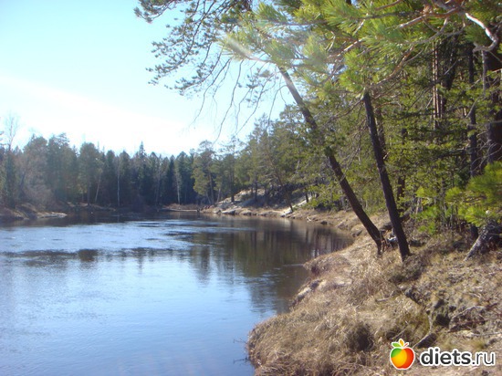 6 ����: �������� � ����!!!