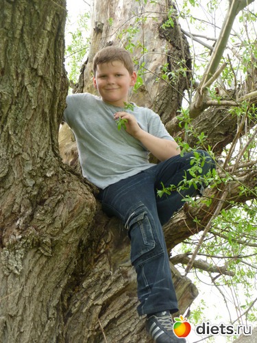 сынок на дереве, альбом: моя семья