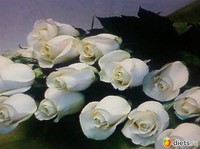 6 фото: друзьям