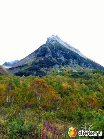 ����������� ������