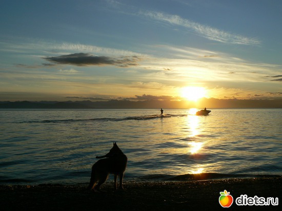 �� ������, ������: ������� �����