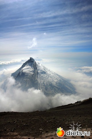 ������ ������