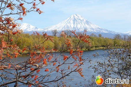 ����� ����������