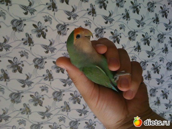 2 фото: просто фотки