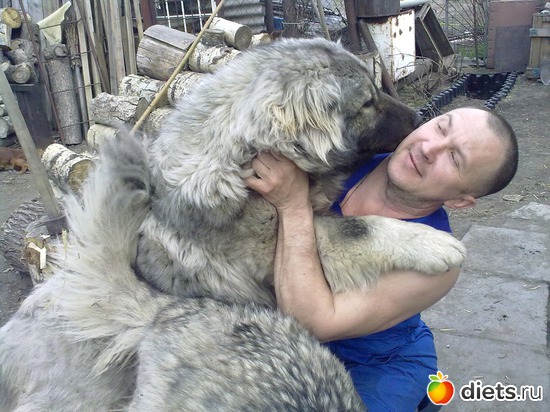 ������ � ����� ����;), ������: ��� ������� � �������