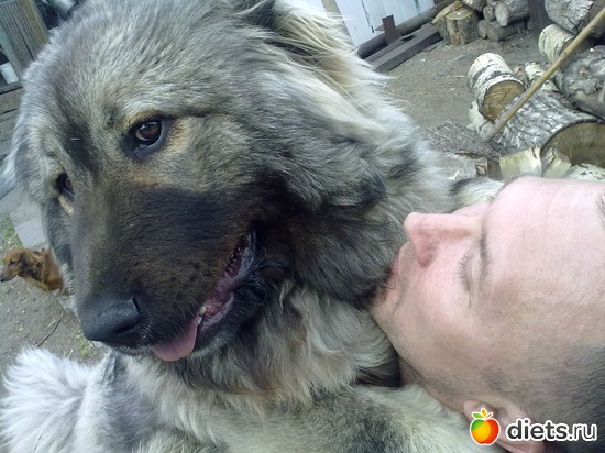 ������, ������: ��� ������� � �������