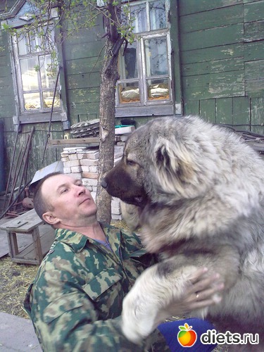 6 ����: ��� ������� � �������