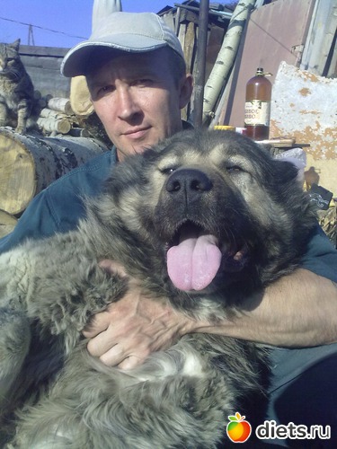 ��� ������ � �����, ������: ��� ������� � �������