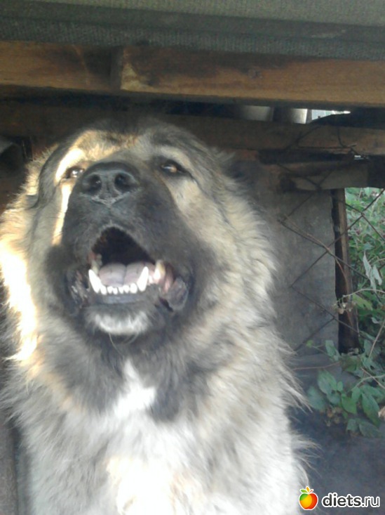 13 ����: ��� ������� � �������