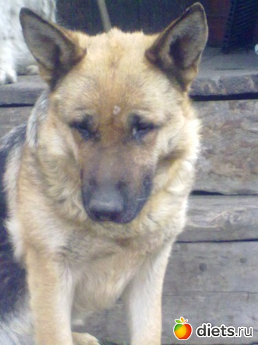 ���� �����, ������: ��� ������� � �������