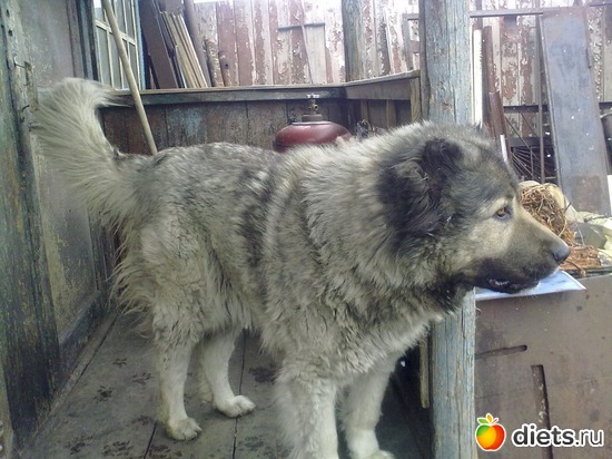 15 ����: ��� ������� � �������