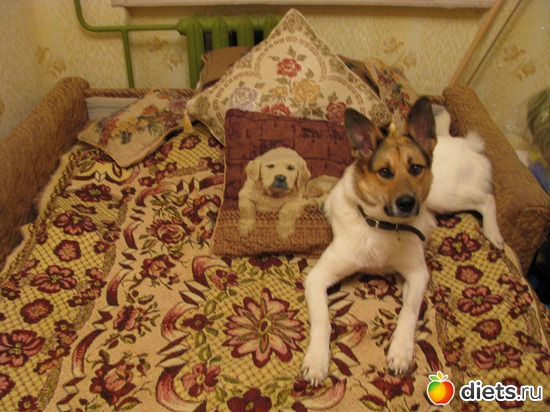 1 ����: ��� ������