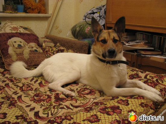 4 ����: ��� ������