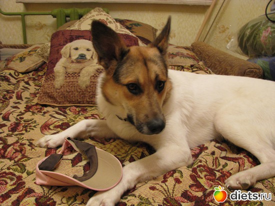 7 ����: ��� ������