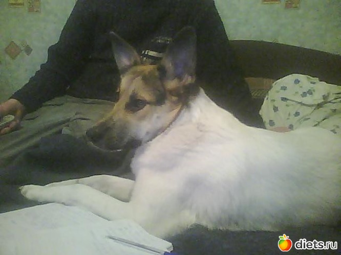 10 ����: ��� ������