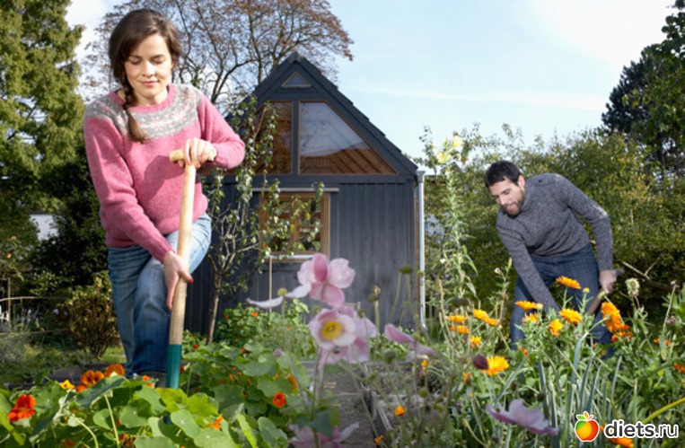 Дача, альбом: Дача